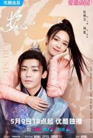 《护心》电视剧免费在线观看完整版全集