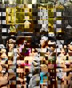 鸭王在线观看完整版国语普通话