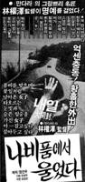 日本花蝴蝶免费观看全集电视剧