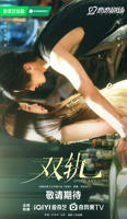 《双轨》全集高清在线观看免费_电视剧